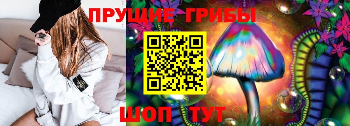 Галлюциногенные грибы MAGIC MUSHROOMS  продажа наркотиков  Сибай  Вход с VPN 
